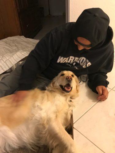 Talk to your dog more to build engagement and build your bond.
