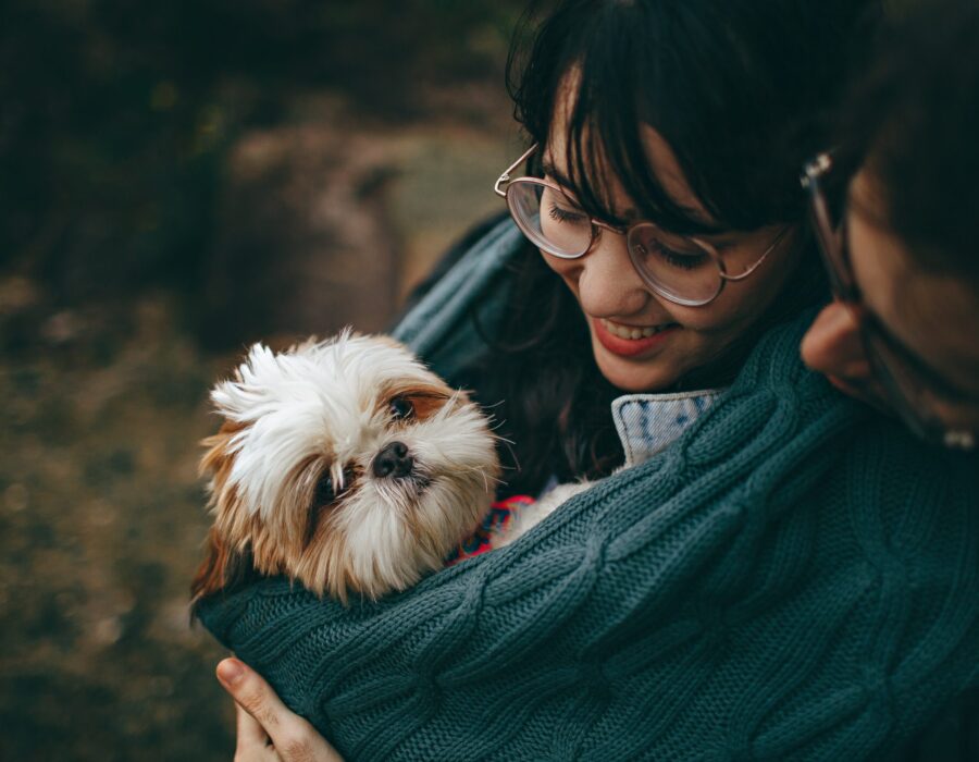 Make sure to always be proactive and safe while on early socialization trips! Carry your puppy if they haven't completed their vaccinations.