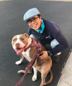 Expert puppy and dog training that's fun!