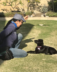 We Do It Homeschool Dog Training Positive reinforcement dog training expert Nicole Narita working with Luna.