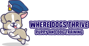 logo, where dogs thrive, puppy and dog training