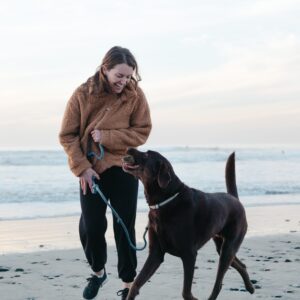Expert dog training for the real world.