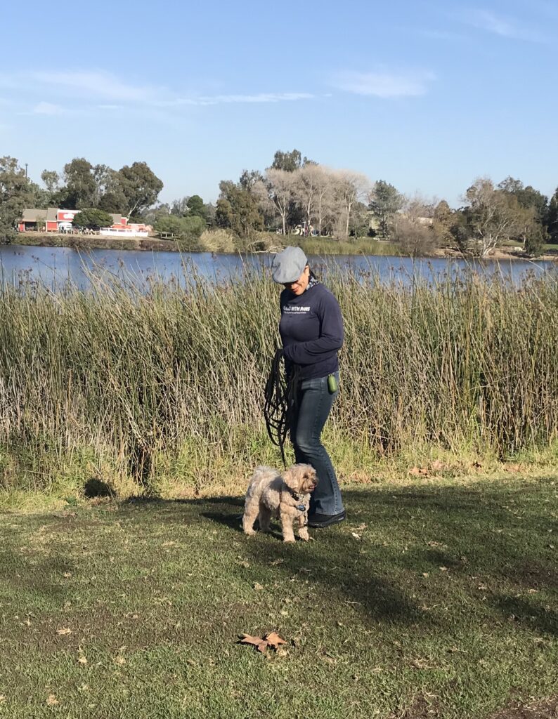 The importance of Leash Training for Huntington Beach Streets and Parks starts with Where Dogs Thrive.