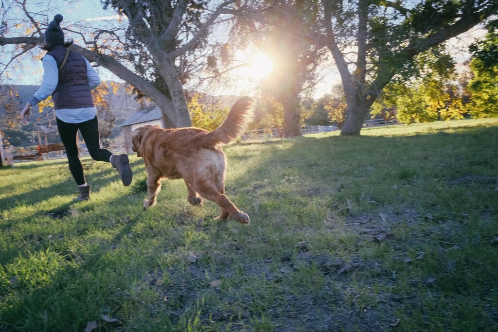 <img src="dog-training.jpg" alt="Dog training at Huntington Beach"> 